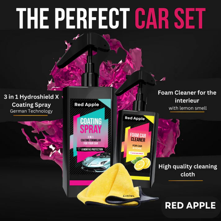 Coating Spray and Foam Car Cleaner 200ml (Combo)