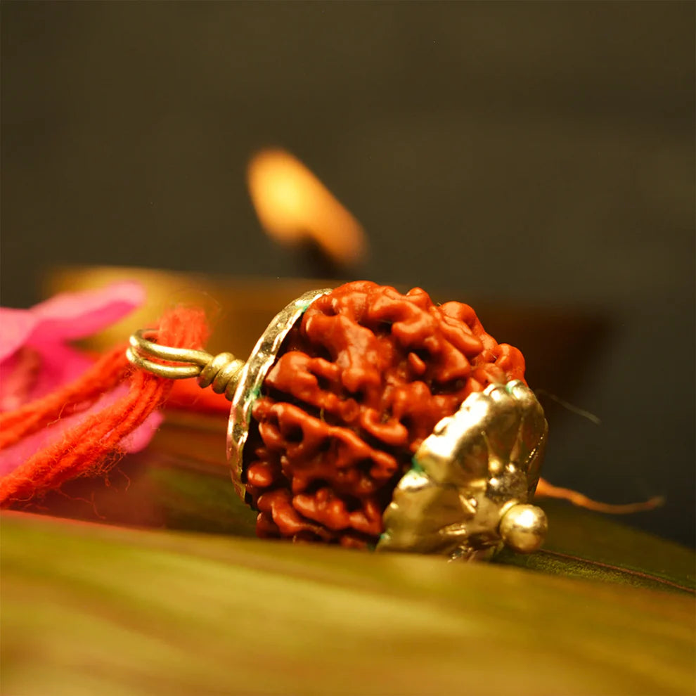 7 Mukhi Nepali Rudraksh (original)