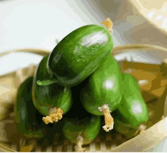 Cucumber-Golden Boy Lady Cucumber(Free Supplement)(BUY 1 GET 1 FREE)