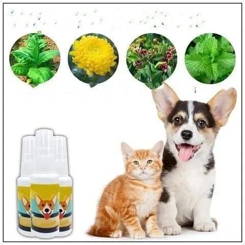 Natural Potty Training Spary for Dog & Cat(BUY 1 GET 1 FREE)