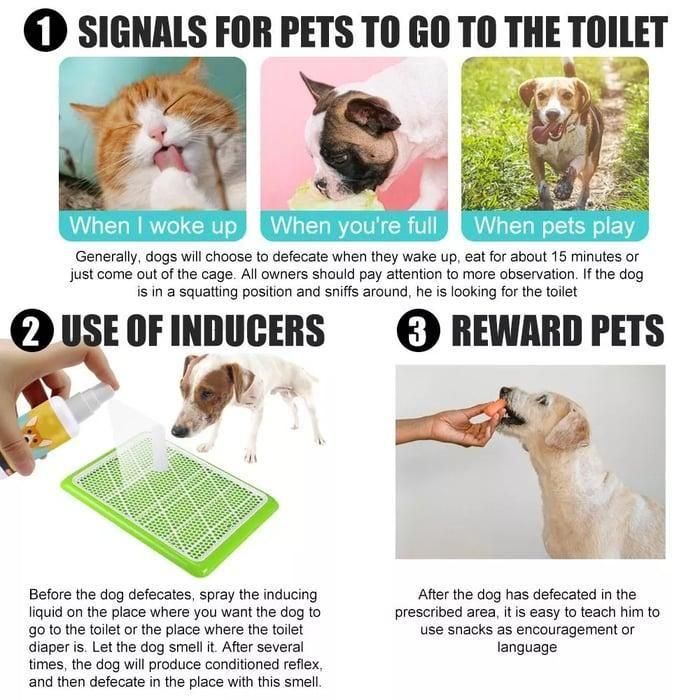 Natural Potty Training Spary for Dog & Cat(BUY 1 GET 1 FREE)