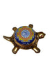 Dhan Laxmi Tortoise (Only Kachua) for Good Luck