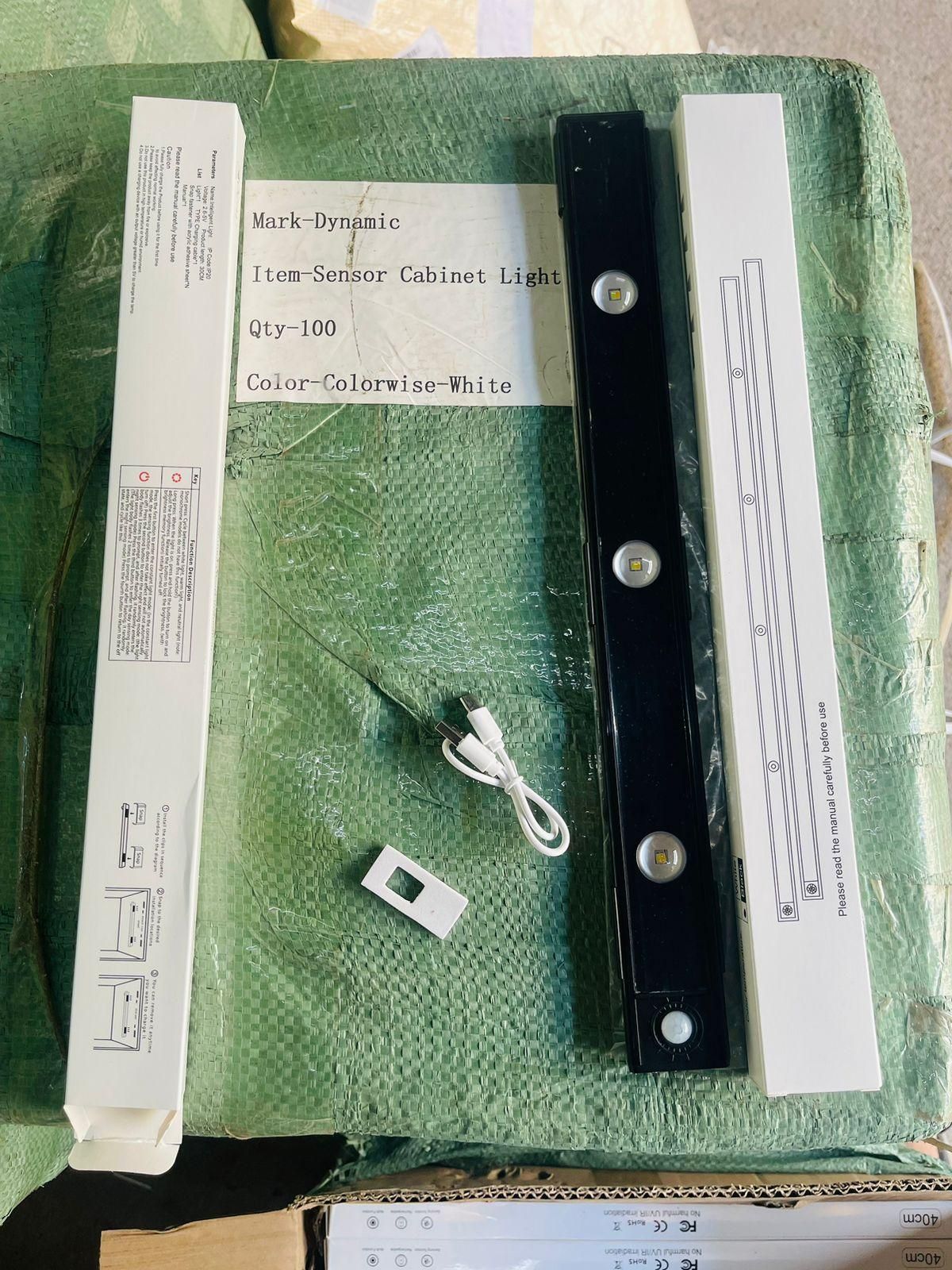 Motion Sensor Light