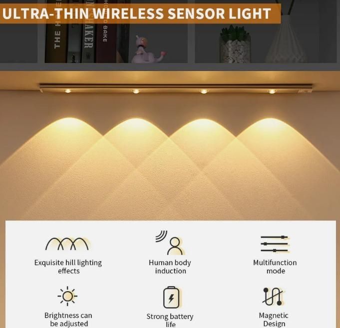 Motion Sensor Light