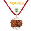 7 Mukhi Nepali Rudraksh (original)