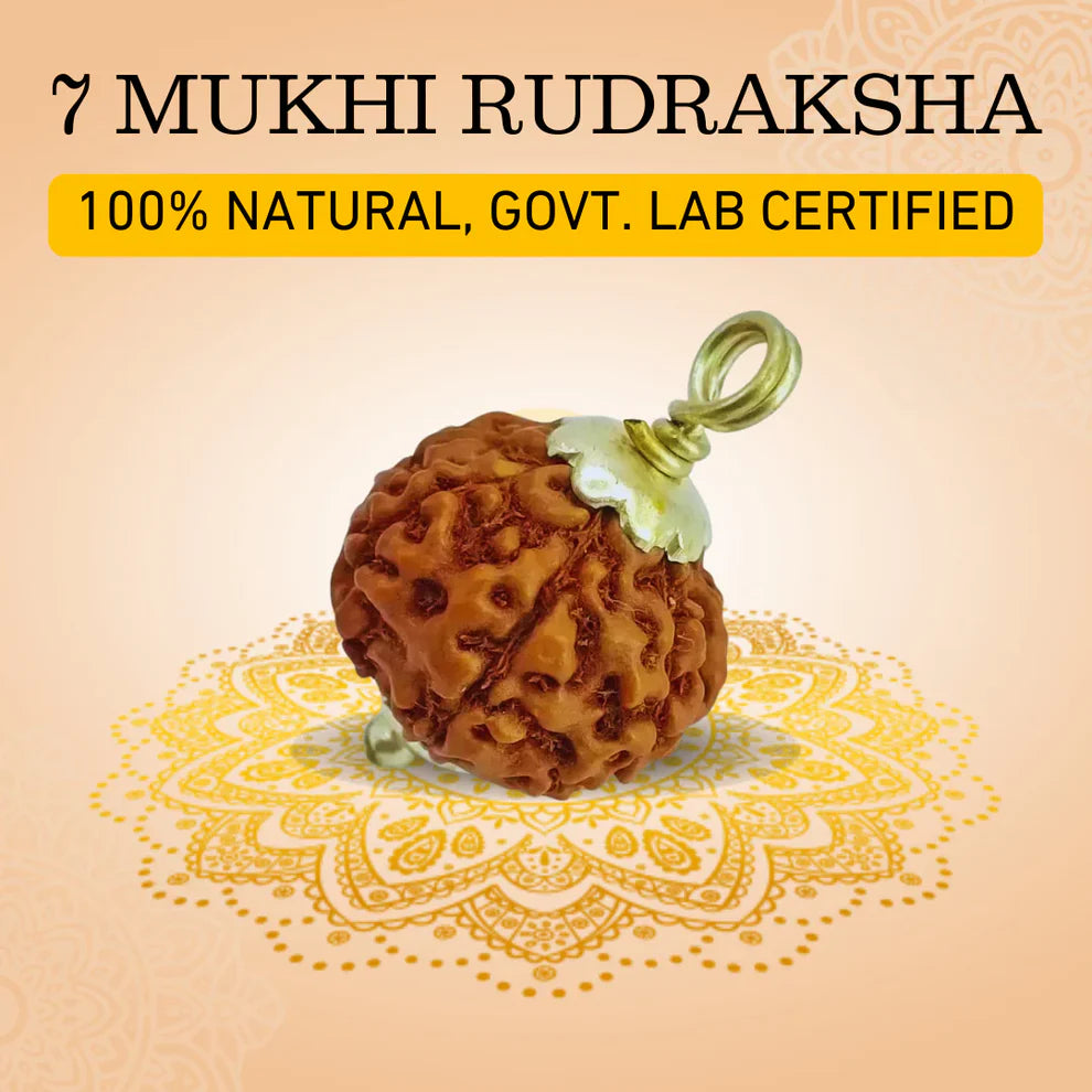 7 Mukhi Nepali Rudraksh (original)