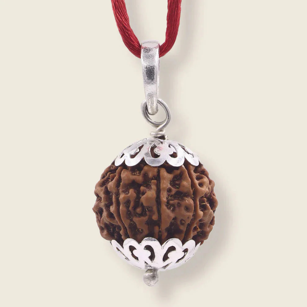 7 Mukhi Nepali Rudraksh (original)