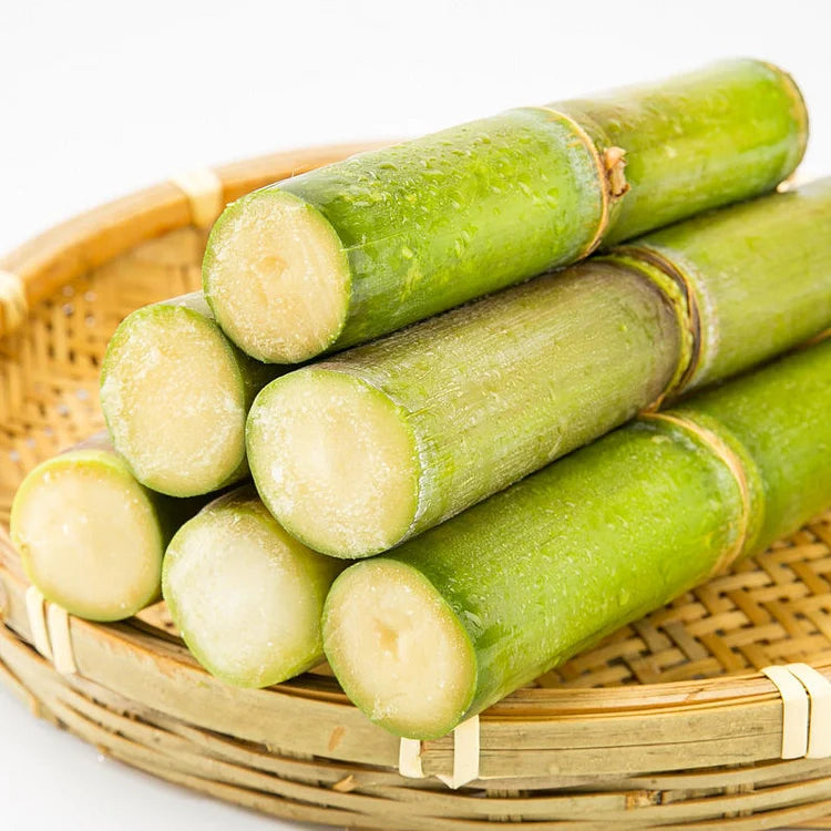 Green-Skinned Mini Sugarcane Seeds