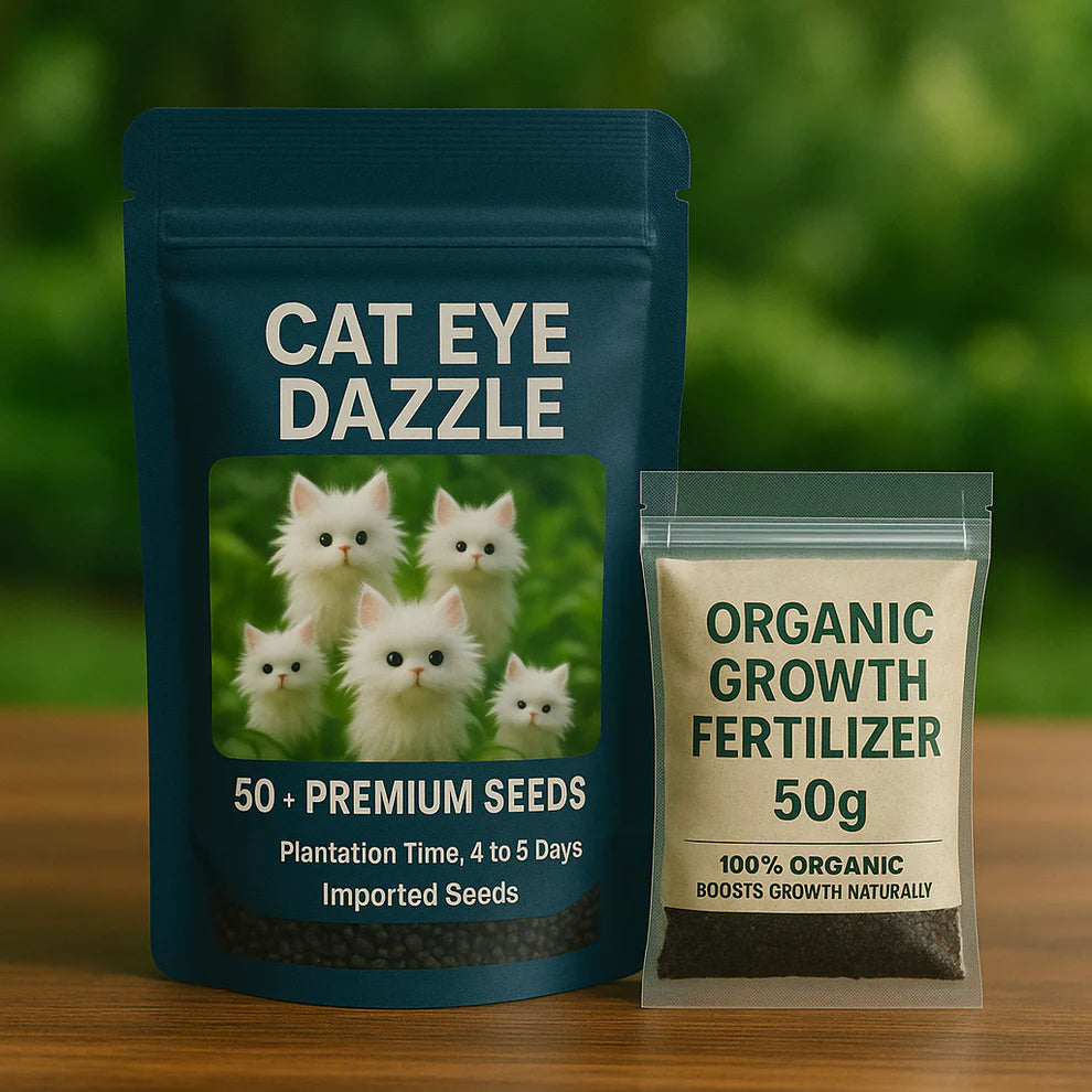Cat Eye Dazzle Seeds and Free Organic Pot Mix 100 Grams