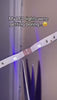 Load and play video in Gallery viewer, Peacock Night Light Projector