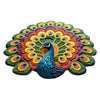Time-Limited Special⏰Quick-Dry Non-Slip Peacock Mat